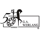 G.A.WERLANG GESTAO E AMBIENTE LTDA